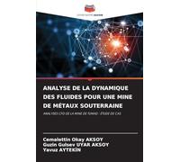 Analyse de la Dynamique Des Fluides Pour Une Mine de Métaux Souterraine: ANALYSES CFD DE LA MINE DE TUMAD : ÉTUDE DE CAS