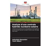 Analyse d'une centrale hybride nucléaire-solaire: Analyse de la performance énergétique et énergétique d'une centrale hybride nucléaire-solaire avec stockage thermique