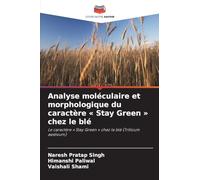 Analyse moléculaire et morphologique du caractère Stay Green chez le blé: Le caractère ' Stay Green ' chez le blé (Triticum aestivum)