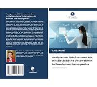 Analyse von ERP-Systemen für mittelständische Unternehmen in Bosnien und Herzegowina: Geschäftsintelligenz