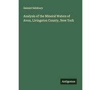 Analysis of the Mineral Waters of Avon, Livingston County, New York