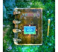 Anamanaguchi (USA) (Vinyl) 12" Album (Importación USA)