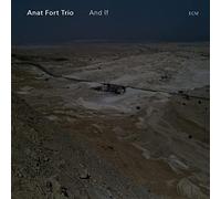Anat Fort Trio - And If
