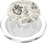 Anatomía Cerebro Corazones Vintage Gráfico Corazón Humano Medica PopSockets PopGrip para MagSafe