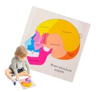 Anatomía, Cuerpo Humano para niños - Anatomía Rompecabezas para niños 3-5 - Juego de Rompecabezas detallado Interactivo