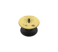 Anatomía de la Abeja Occidental - Diagrama de biología de Insectos PopSockets PopGrip Adhesivo