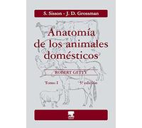 Anatomía de los animales domésticos. Tomo I