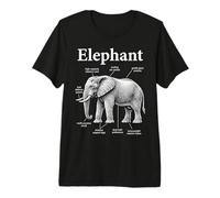 Anatomía De Un Elefante Diagrama Divertido De Vida Silvestre Camiseta Premium