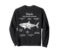 Anatomía De Un Tiburón Divertido Diagrama del Océano Sudadera