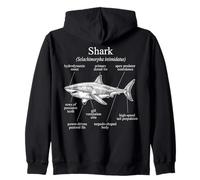 Anatomía De Un Tiburón Divertido Diagrama del Océano Sudadera con Capucha