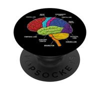Anatomía del Cerebro Humano Neurociencia etiquetados lóbulos de la Corteza PopSockets PopGrip Adhesivo