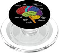 Anatomía del Cerebro Humano Neurociencia etiquetados lóbulos de la Corteza PopSockets PopGrip para MagSafe