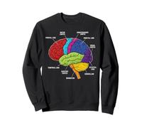 Anatomía del Cerebro Humano Neurociencia etiquetados lóbulos de la Corteza Sudadera