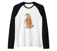 Anatomía del Perro de la Pradera Diagrama Vintage Retro Camiseta Manga Raglan