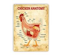 Anatomía del pollo, letreros metálicos de anatomía del pollo, póster vintage de conocimiento sobre pollos, enciclopedia de animales, decoración de granja, placa, decoración de pared para el hogar, coc
