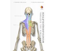 Anatomía del sistema músculoesquelético
