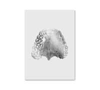 Anatomía Dental ortodoncista medicina Oral Molar cuadro sobre lienzo for pared póster nórdico e impresiones imágenes for la decoración de habitación clínica(6,40x60 cm No Frame)