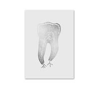 Anatomía Dental ortodoncista medicina Oral Molar cuadro sobre lienzo for pared póster nórdico e impresiones imágenes for la decoración de habitación clínica(1,A3 30x42 cm No Frame)