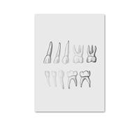 Anatomía Dental ortodoncista medicina Oral Molar cuadro sobre lienzo for pared póster nórdico e impresiones imágenes for la decoración de habitación clínica(8,30x40 cm No Frame)