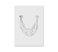 Anatomía Dental ortodoncista medicina Oral Molar cuadro sobre lienzo for pared póster nórdico e impresiones imágenes for la decoración de habitación clínica(4,10x15 cm No Frame)