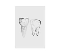 Anatomía Dental ortodoncista medicina Oral Molar cuadro sobre lienzo for pared póster nórdico e impresiones imágenes for la decoración de habitación clínica(5,30x40 cm No Frame)
