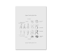 Anatomía Dental ortodoncista medicina Oral Molar cuadro sobre lienzo for pared póster nórdico e impresiones imágenes for la decoración de habitación clínica(7,10x15 cm No Frame)