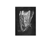 Anatomía humana Artwork clínica médica Imagen de pared esqueleto Sistema muscular órgano Vintage CONTERACIÓN DE EDURA ENTRA(202011NQ321A,40x50cm No Frame)