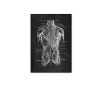 Anatomía humana Artwork clínica médica Imagen de pared esqueleto Sistema muscular órgano Vintage CONTERACIÓN DE EDURA ENTRA(202011NQ321B,40x60cm No Frame)