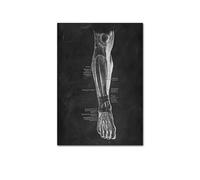 Anatomía humana Artwork clínica médica Imagen de pared esqueleto Sistema muscular órgano Vintage CONTERACIÓN DE EDURA ENTRA(202011NQ321I,A3 30x42cm No Frame)