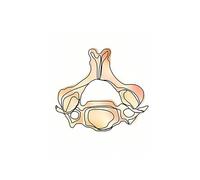 Anatomía humana cráneo pulmón Lumbar columna vertebral esqueleto médico cuadro sobre lienzo for pared póster e impresiones cuadros de for decoración clínica(G,10X15 cm Unframed)