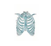 Anatomía humana cráneo pulmón Lumbar columna vertebral esqueleto médico cuadro sobre lienzo for pared póster e impresiones cuadros de for decoración clínica(D,13X18 cm Unframed)