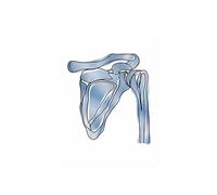 Anatomía humana cráneo pulmón Lumbar columna vertebral esqueleto médico cuadro sobre lienzo for pared póster e impresiones cuadros de for decoración clínica(I,13X18 cm Unframed)