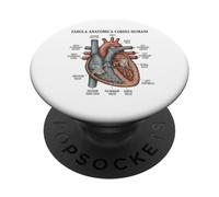 Anatomía Humana Diagrama del corazón Sistema Cardiovascular PopSockets PopGrip Adhesivo