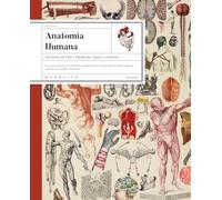 Anatomia humana: Història de l’Art i Medicina: mites i certeses