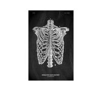 Anatomía humana Marca de arte Medical Hospital hospital Sistema órgano muscular Vintage lienzo(KK1406,50x75cm No Frame)