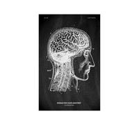 Anatomía humana Marca de arte Medical Hospital hospital Sistema órgano muscular Vintage lienzo(KK1405,60x90cm No Frame)