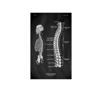 Anatomía humana Marca de arte Medical Hospital hospital Sistema órgano muscular Vintage lienzo(KK1407,80x120cm No Frame)