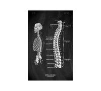 Anatomía humana Marca de arte Medical Hospital hospital Sistema órgano muscular Vintage lienzo(KK1407,80x120cm No Frame)