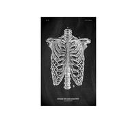 Anatomía humana Marca de arte Medical Hospital hospital Sistema órgano muscular Vintage lienzo(KK1406,30x45cm No Frame)
