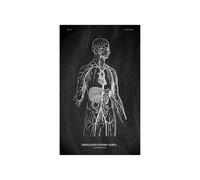 Anatomía humana Marca de arte Medical Hospital hospital Sistema órgano muscular Vintage lienzo(KK1414,40x60cm No Frame)