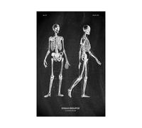 Anatomía humana Marca de arte Medical Hospital hospital Sistema órgano muscular Vintage lienzo(KK1411,80x120cm No Frame)