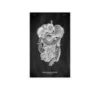 Anatomía humana Marca de arte Medical Hospital hospital Sistema órgano muscular Vintage lienzo(KK1413,80x120cm No Frame)