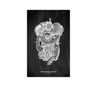 Anatomía humana Marca de arte Medical Hospital hospital Sistema órgano muscular Vintage lienzo(KK1413,80x120cm No Frame)