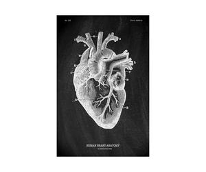 Anatomía humana Marca de arte Medical Hospital hospital Sistema órgano muscular Vintage lienzo(KK1412,80x120cm No Frame)
