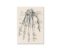 Anatomía humana obra de arte la pared médica esqueleto del músculo(HF103,21X30cm NO Frame)