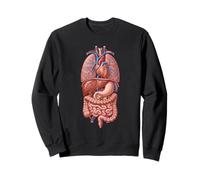 Anatomía Humana Órganos Internos Biología Arte Sudadera