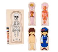 Anatomía Humana para Eles, Puzzle del Cuerpo Humano - Juguetes de Puzzle cognitivos Multicapa de Madera para el Cuerpo Humano,Suministros de aprendizaje de ciencias educativas para el desarrollo prec