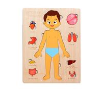 Anatomía Humana para niños - Anatomía Humana de Madera para niños, Juguete | Educativo del Cuerpo | Aprendizaje de los órganos esqueléticos | para el Juego de Regalo de Actividades Stem p