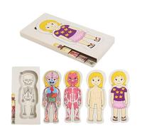 Anatomía Lernpuzzle - Vorschulspielzeug Holz, Kinderpädagogik Spiel, Körper Lernset Klassenzimmer | Interaktiv Wissensspiel Menschenkörper, Lehrreich Vorschüler Bildungsspiel Junge Mädc
