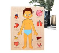 Anatomía para Niños | Partes Educativas de Madera Corporales,Juguetes Educativos Para Viaje Aprendizaje Juego Hospital Escuela Infantil
